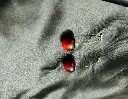3...webp