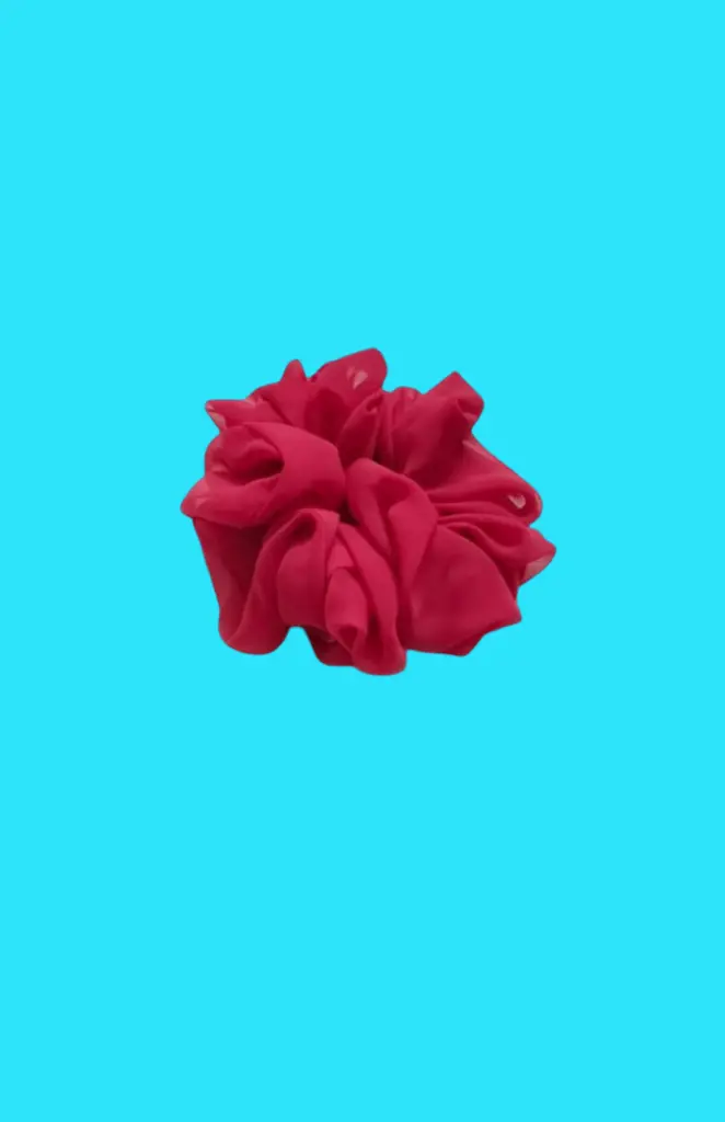 scrunchie 8.1.webp