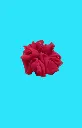scrunchie 8.1.webp