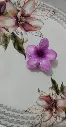 claw17.webp