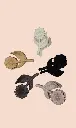 CLAW 4.webp