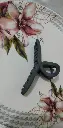 claw15.webp