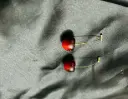 Red Cherry Earring